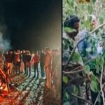 संजय टाइगर रिजर्व में दिल दहला देने वाली घटना,बाघिन टी-60 के दो शावकों की मौत…