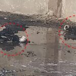 पटाखा फैक्ट्री मे लगी आग, जिन्दा जल गए 8 लोग