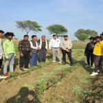 कृषक ग्राम सभाओं में किसानों को दी जा रही है उन्नत खेती की जानकारी