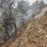 कुर्सा–करथूआ मार्ग के जंगल में भीषण आग, प्रशासन की लापरवाही पर उठे सवाल