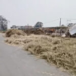 एनएच-39 देवसर रोड बना ‘खलिहान’, सड़क पर सूख रहा अनाज; हादसे का खतरा बढ़ा