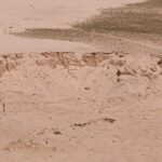 सोन घड़ियाल प्रतिबंधित क्षेत्र से हो रहा रेत का कारोबार