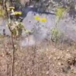 करथुआ के जंगलों में भड़की भीषण आग, वन विभाग बेखबर; बहुमूल्य संपदा खतरे में