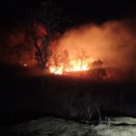 गोरबी वन क्षेत्र में पहाड़ी पर भीषण आग, ग्रामीणों में दहशत