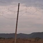 मौत के साए में खेती: खेतों के ऊपर लटकते 440 वोल्ट के तार, हादसे का मंडरा रहा खतरा