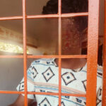 हनुमान मंदिर में चोरी की कोशिश नाकाम, ग्रामीणों ने आरोपी को पकड़कर पुलिस को सौंपा