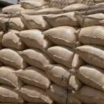 जबलपुर में 11 हजार टन गेहूं सड़ा, 25 करोड़ का नुकसान; शराब फैक्ट्रियों को बेचने की तैयारी पर उठे सवाल