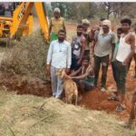 30 फीट गहरे बोरवेल में गिरी बकरी, ग्रामीणों ने चलाया रेस्क्यू ऑपरेशन