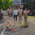 निगाही आवासीय परिसर में बिजली चोरी पर कार्रवाई, कई अवैध कनेक्शन काटे