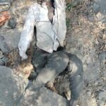 मुडवानी डैम के पास सड़क किनारे मिला अज्ञात व्यक्ति का शव, लू लगने की आशंका