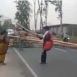 सिंगरौली में अचानक बदला मौसम, तूफान-ओलावृष्टि से जनजीवन प्रभावित, कई इलाकों में बिजली गुल