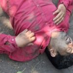 सड़क किनारे गिरा विशाल पेड़, बाइक सवार युवक की मौत; NCL और नगर निगम पर उठे सवाल