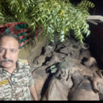 चितरंगी पुलिस ने पशु तस्करी पर कसा शिकंजा, 21 भैंस बरामद, ट्रक जब्त