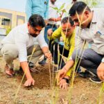 विश्व पर्यावरण दिवस पर कलेक्टर ने रोपा आम का पौधा