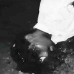 माड़ा में अज्ञात वाहन की टक्कर से युवक गंभीर रूप से घायल, जिले में बढ़ते सड़क हादसे बने चिंता का विषय