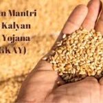 प्रधानमंत्री गरीब कल्याण अन्न योजना में 5.39 करोड़ हितग्राहियों को नि:शुल्क खाद्यान्न आवंटित