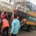 सड़कों से आवारा मवेशी हटाने नगर निगम का अभियान तेज