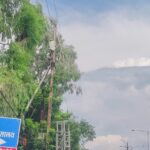 कोर्ट परिसर के पास 11 केवी लाइन पर गिरी पेड़ की डाली, घंटो रही सप्लाई बाधित
