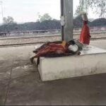 सरई रेलवे स्टेशन पर कोयले की धूल का गुबार, यात्रियों की सांसों पर संकट