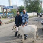 सड़क सुरक्षा और गोवंश संरक्षण की दिशा में महान एनर्जेन लिमिटेड की अभिनव पहल