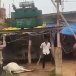 जर्जर बिजली व्यवस्था से परेशान ग्रामीणों का फूटा गुस्सा, ट्रांसफार्मर के पास मृत मवेशी मिलने के बाद प्रदर्शन