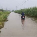 एनटीपीसी विंध्याचल की लापरवाही से सड़क बनी तालाब, आधा मीटर पानी में फंसे राहगीर
