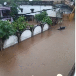 बारिश से मोरवा के वार्डों में जलभराव, पार्षद शेखर सिंह ने मौके पर पहुंचकर शुरू कराई पानी निकासी