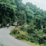 स्कॉर्पियो की टक्कर से युवक की मौत, घायल को सुनसान जगह छोड़कर भागा चालक गिरफ्तार