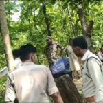 बगदरा कला के जंगल में सागौन कटाई के आरोप, वन विभाग की कार्यप्रणाली पर उठे सवाल