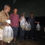 मुड़वानी जलाशय में डाला गया एक लाख मत्स्य बीज, आदिवासी मछुआरा समिति को निःशुल्क मिला बीज