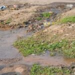 छह महीने से सड़क पर बह रहा नल-जल योजना का पानी, मरम्मत के बाद भी नहीं थमा रिसाव