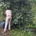 पनागर के जंगल में चल रहा था कच्ची शराब बनाने का कारोबार, पुलिस ने भट्टियां तोड़ीं