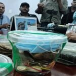 3 वन्यजीव तस्कर गिरफ्तार, 50 लाख का माल बरामद