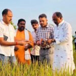 ओड़गड़ी में धान की फसल के नुकसान का विधायक ने लिया जायजा