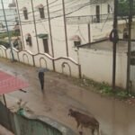 सिंगरौली-सीधी में मौसम ने बदली करवट, करवा चौथ पर बारिश से चांद के दीदार की चिंता